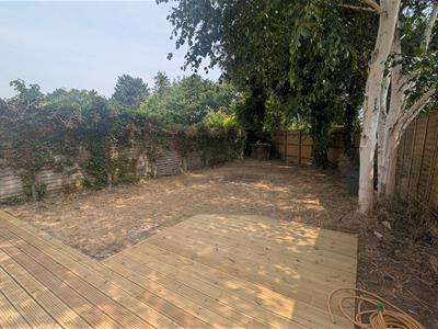 Picture 12